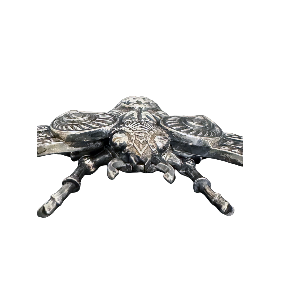 Scarilla