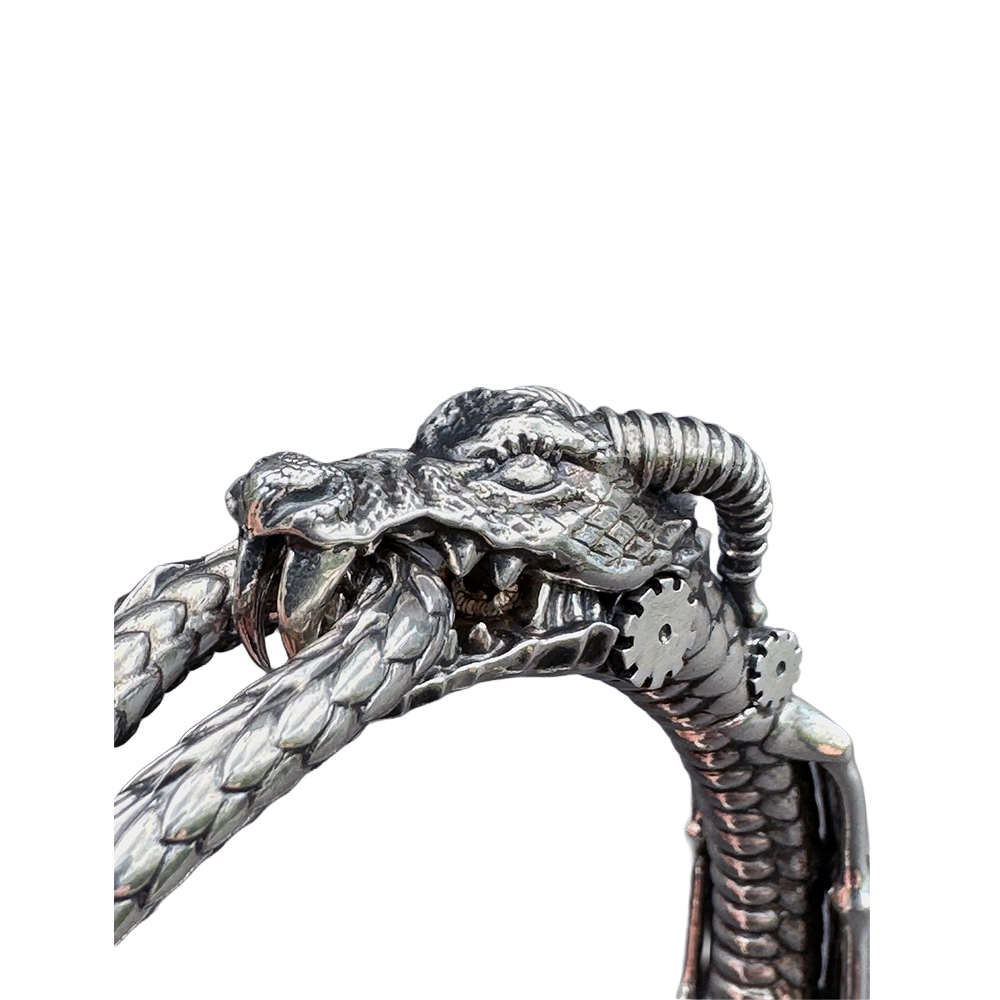 Wyvern Oroborus