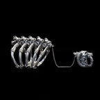 sabretooth skull ring cuff sterling silver set front